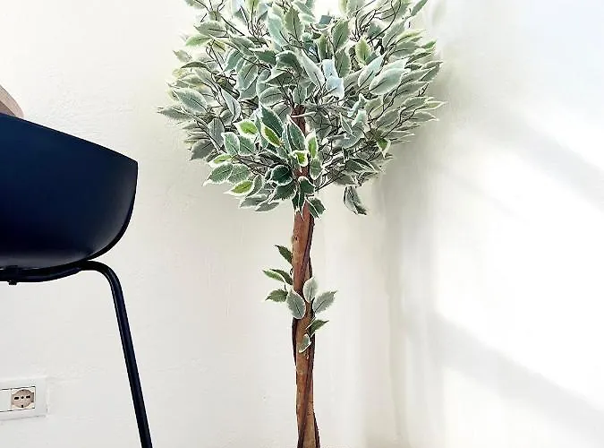 Fantasy Appartamento *